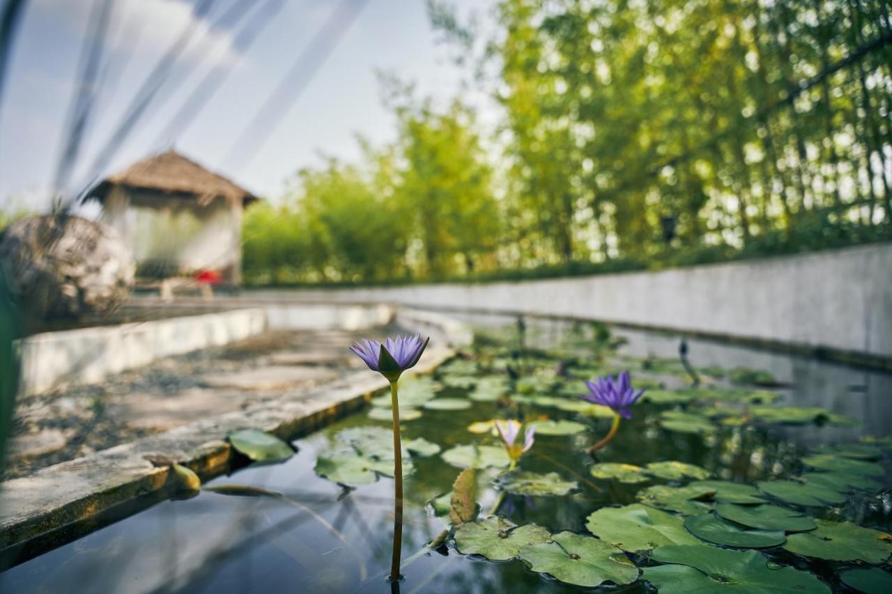 Manli Hotel Shanghai Pudong Airport - Pet Friendly Ngoại thất bức ảnh